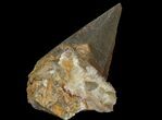 Dogtooth Calcite Crystal - Morocco #96834-1